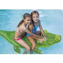 Fashy Inflable para Piscina 
