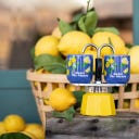 Mini Express Mercato Della Frutta Zitrone - 1 Stk