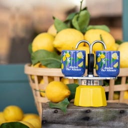 Mini Express Mercato Della Frutta Zitrone - 1 Stk