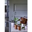 Strömshaga Coasters for Small Flower Pots - 1 Pc.