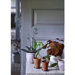Strömshaga Coasters for Small Flower Pots - 1 Pc.
