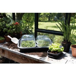 elho green basics tuintray