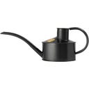 Arrosoir pour l'Intérieur en Métal - 0,5 litre - Graphite