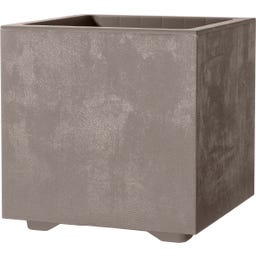 Pot 