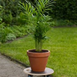 Esschert Design Plantenroller Outdoor - Rond