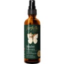 Farfalla Spray per Ambienti 