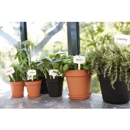 elho green basics schotel, living black