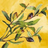 PPD Tovaglioli - Olive Mus&eacute;e