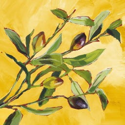 PPD Olive Musée - 33 x 33 cm