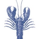 PPD Lobster Marine - 33 x 33 cm