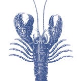 PPD Lobster marine