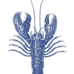 PPD Lobster marine - 33 x 33 cm