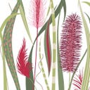 PPD Autumn Pampas Servett - 33 x 33 cm
