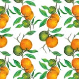 PPD Beautiful Oranges Napkin