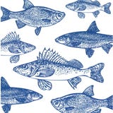 PPD Graphic Fishes marine