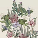 PPD Antigua Napkin - 33 x 33 cm