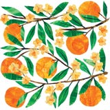 PPD Tovaglioli - Tracey's Orangina