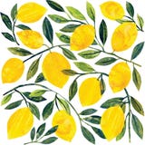 PPD Tracey&acute;s Citronella Napkin