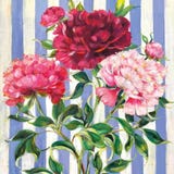 PPD Hikari Napkin