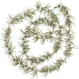 IB Laursen Cedar Garland