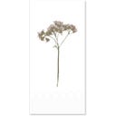 Chic Antique “Flower Stem” Napkin - 16 pieces