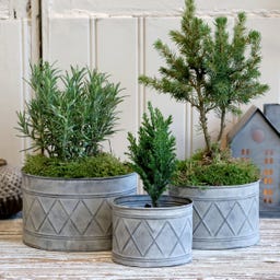 Plant Pots, Set of 3, Antique Zinc