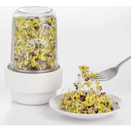 754609_pl
