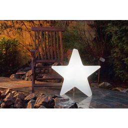8 seasons design Motivleuchte Shining Star, 60 cm (RGB)