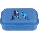 Emil – die Flasche® Lunch Box with Print - Sea Life