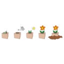 Feel Green ecocube - Albero Pan di Zenzero - 1 pz.