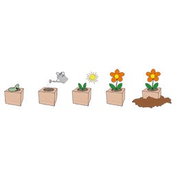 Feel Green ecocube - Albero Pan di Zenzero - 1 pz.