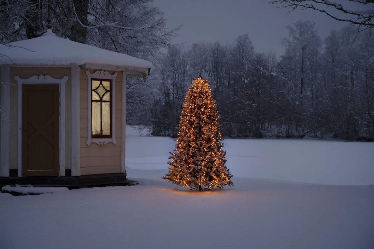 Micro LED Compactlights Baummantel mit Ring, In- und Outdoor - 1 Stk