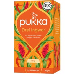 Pukka Drei Ingwer Bio-Kr&auml;utertee