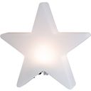 Shining Star Decorative Light, ∅ 30 cm LED / Battery - 