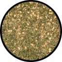 Stay Spiced! Miscela di Spezie Zaatar - 60 g