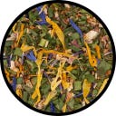 Stay Spiced! Miscela di Spezie per Pane al Burro - 45 g