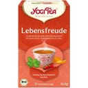 Yogi Tea Bio Heartwarming - 17 theezakjes