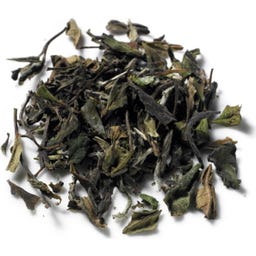 Demmers Teehaus BIO Pai Mu Tan White