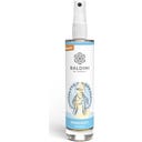 Baldini Spray per Ambienti 
