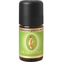 Primavera Biologische Eucalyptus globulus - 5 ml