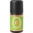 Primavera Biologische Fijne Lavendel - 5 ml