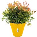 elho loft urban rond wielen 40cm - oker