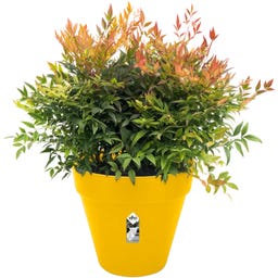 elho loft urban rond wielen 40cm - oker