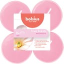 True Scents Maxi Lámparas de Té Perfumadas 8h (8 uds.) - Magnolia