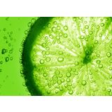 Glascard Glasbild “Frukt och grönsaker Lime