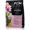 Orchidpon, 6 l