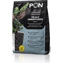 Blackstonepon, 6 L