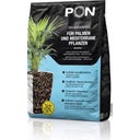 Palmpon, 12 L