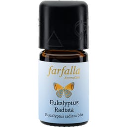 Farfalla Eukalyptus radiata Grand Cru