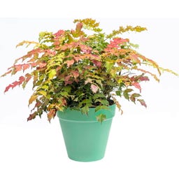 elho Pot Rond LOFT URBAN - 20 cm